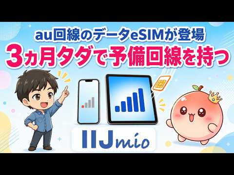 【11月4日まで】IIJmioのデータeSIMが最大3ヵ月0円！au回線で2枚目の副回線を持つ方法