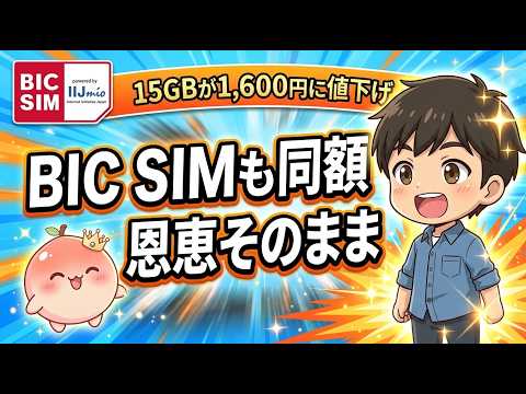 【2026年最新】BIC SIM完全ガイド 950円で5GB|IIJmioとの違い